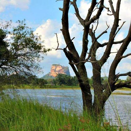 Rho Sigiriya Lake Edge Retreat Kibissa エクステリア 写真