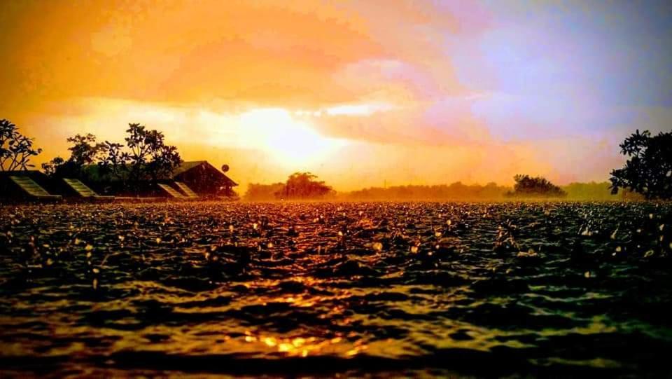 Rho Sigiriya Lake Edge Retreat Kibissa エクステリア 写真