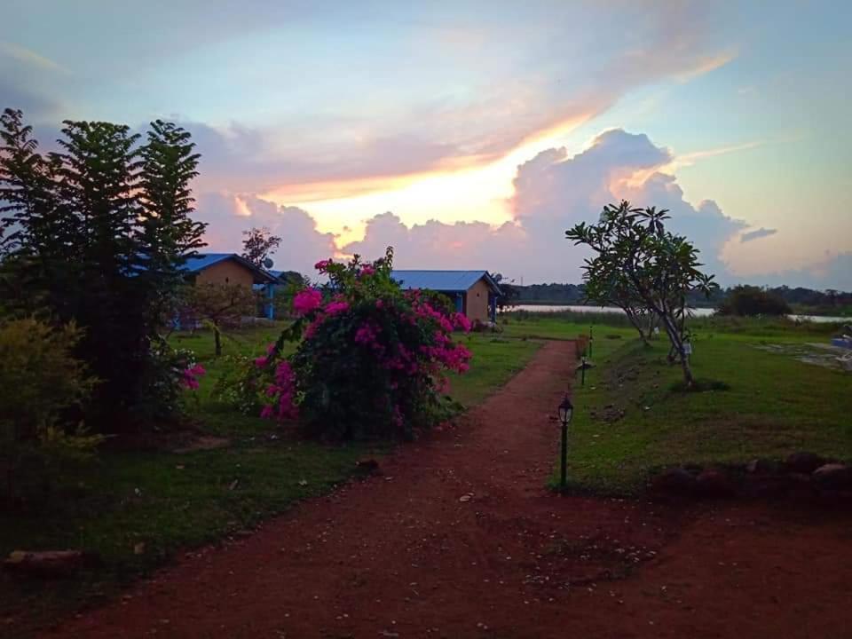 Rho Sigiriya Lake Edge Retreat Kibissa エクステリア 写真