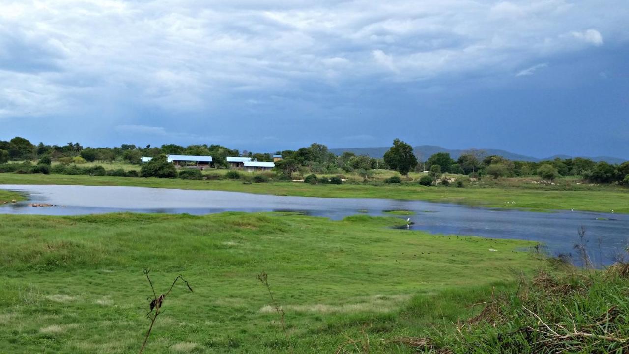 Rho Sigiriya Lake Edge Retreat Kibissa エクステリア 写真