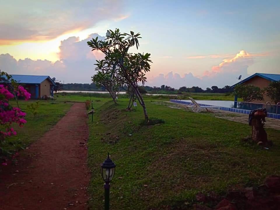 Rho Sigiriya Lake Edge Retreat Kibissa エクステリア 写真