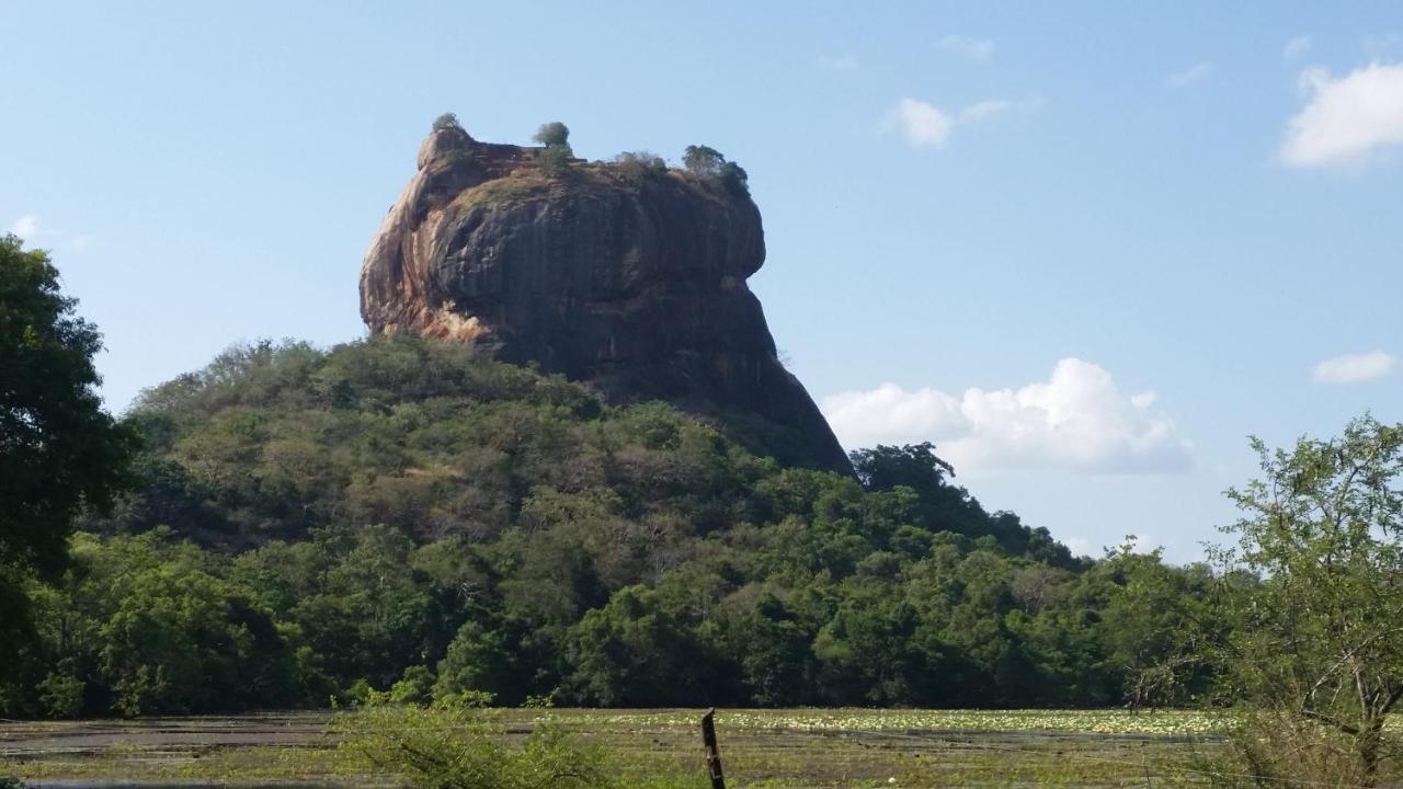 Rho Sigiriya Lake Edge Retreat Kibissa エクステリア 写真