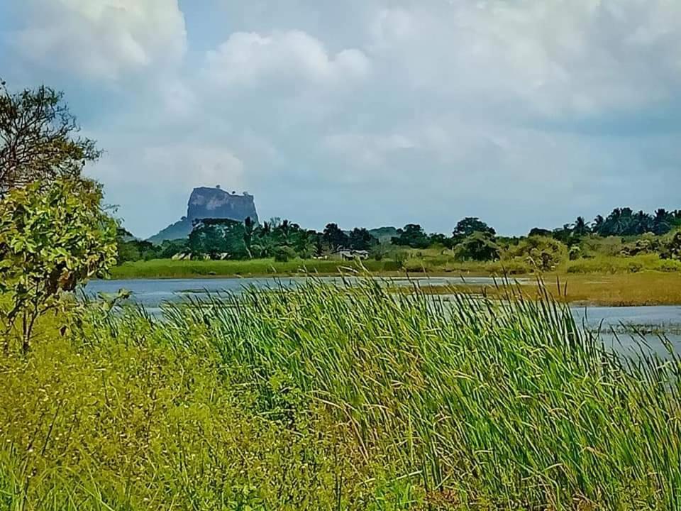 Rho Sigiriya Lake Edge Retreat Kibissa エクステリア 写真