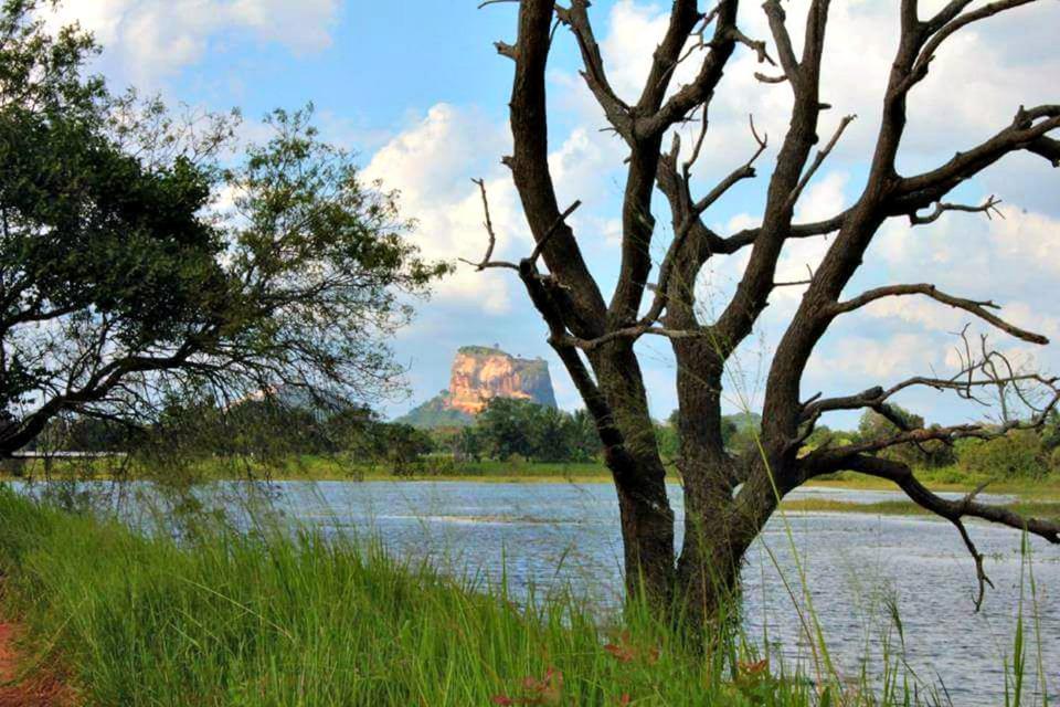 Rho Sigiriya Lake Edge Retreat Kibissa エクステリア 写真