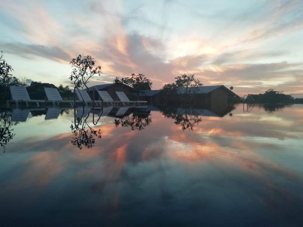 Rho Sigiriya Lake Edge Retreat Kibissa エクステリア 写真