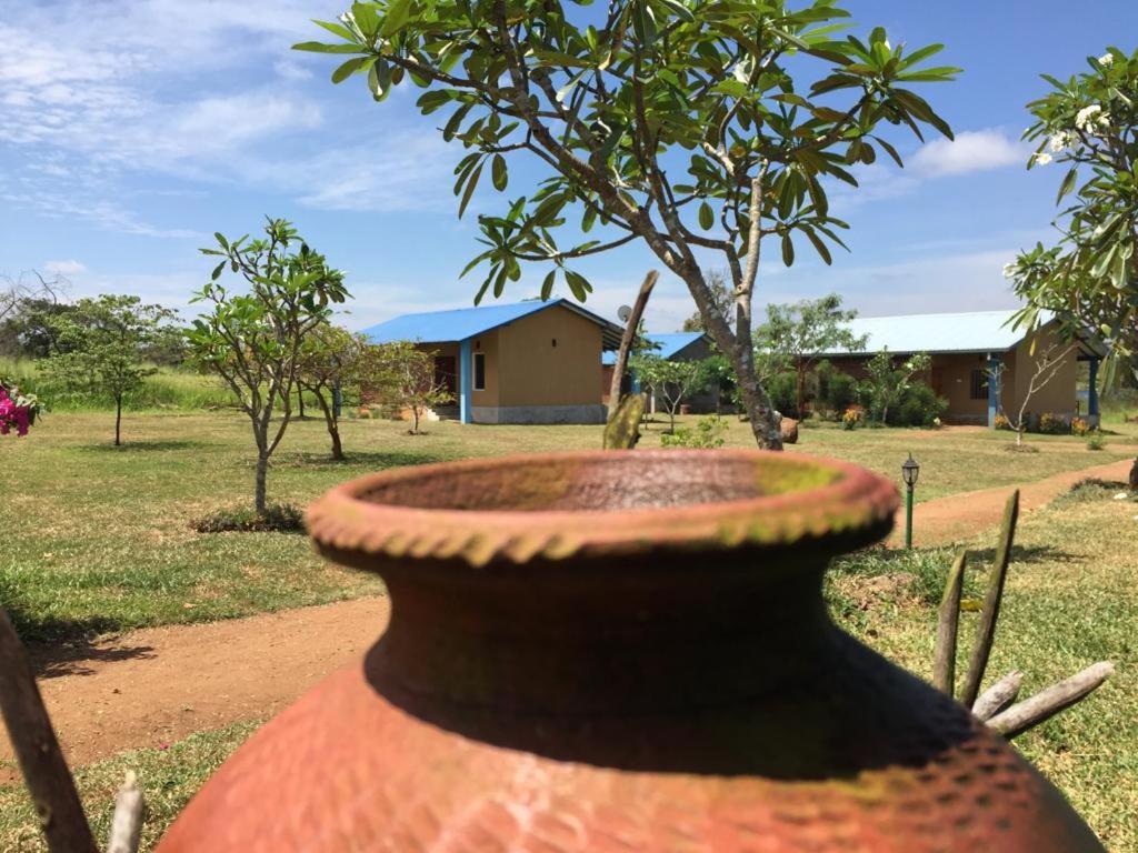 Rho Sigiriya Lake Edge Retreat Kibissa エクステリア 写真